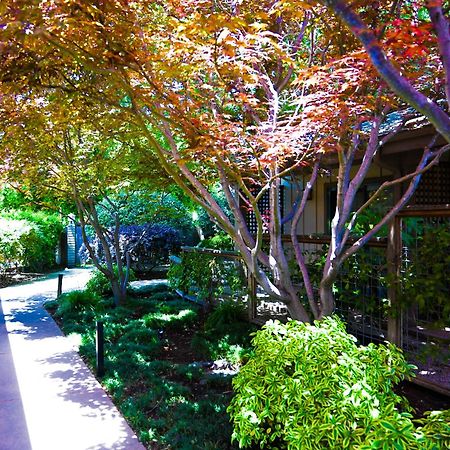 El Pueblo Inn Sonoma Exterior photo