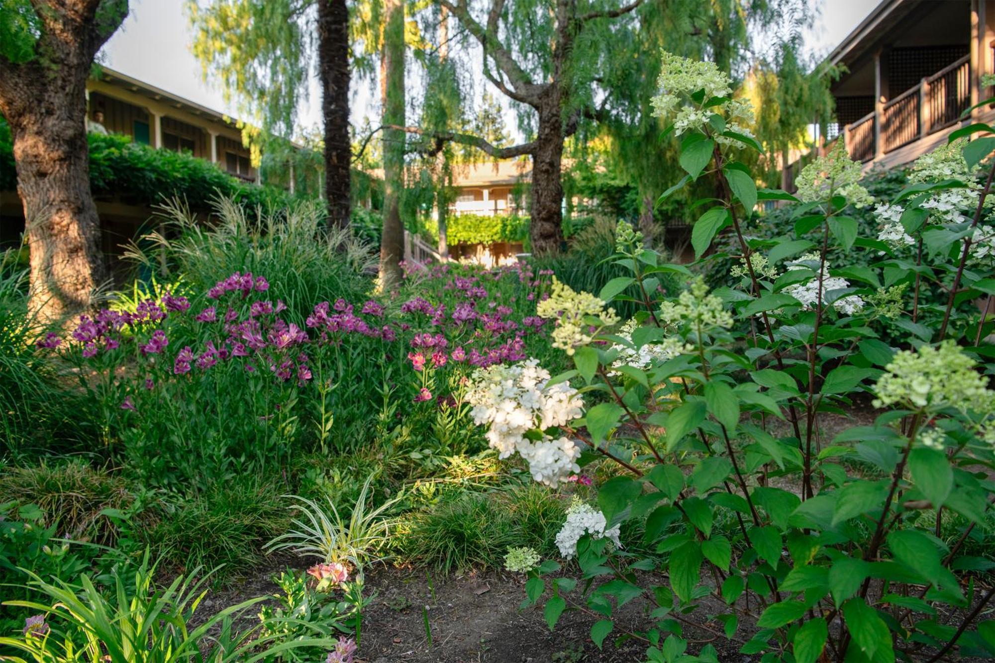 El Pueblo Inn Sonoma Exterior photo